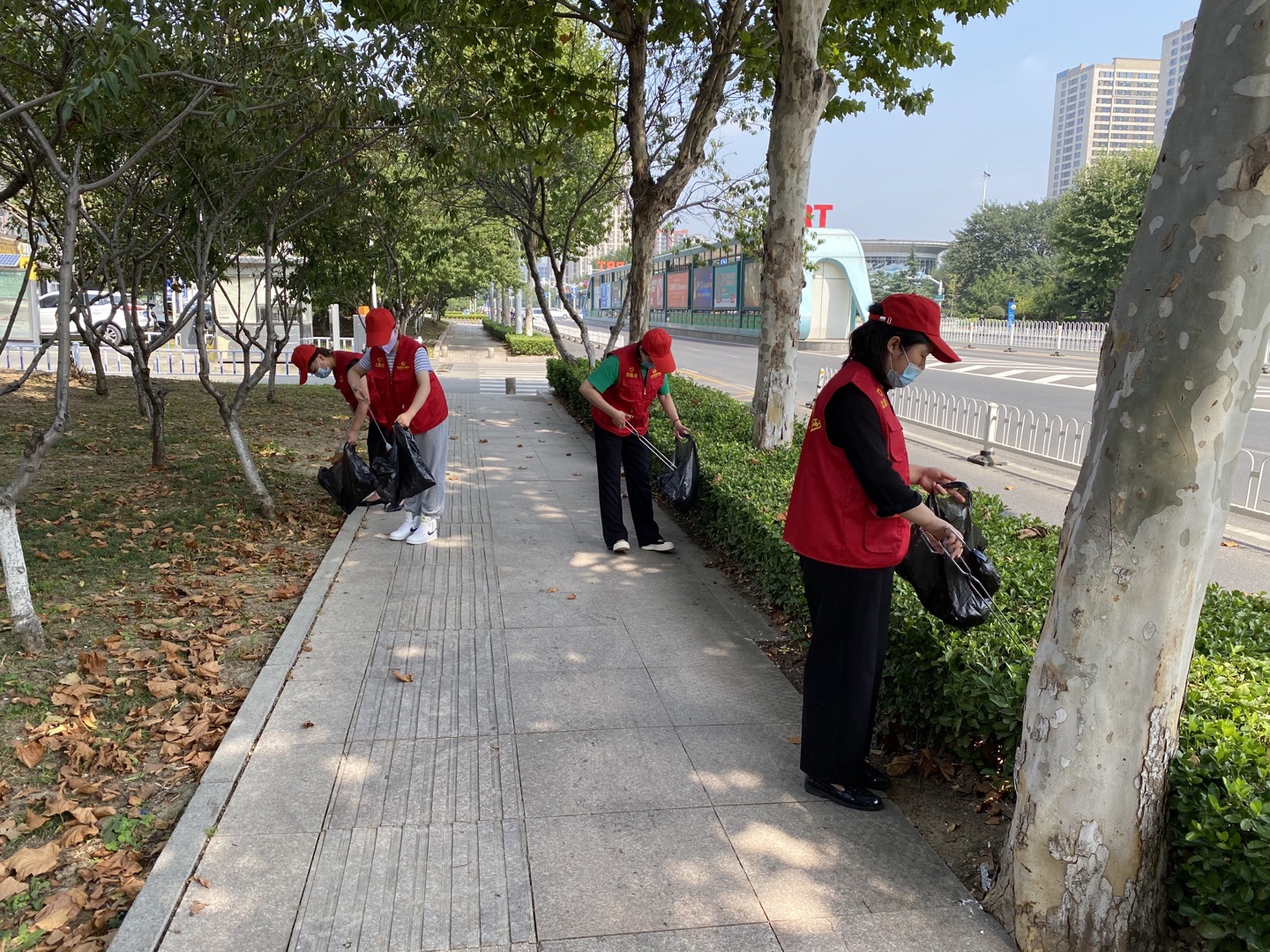 香港正版精准资料公开