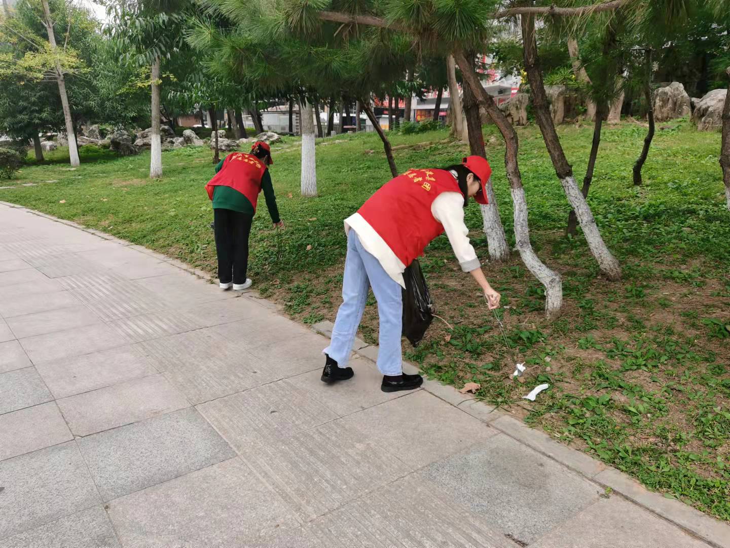 香港正版精准资料公开