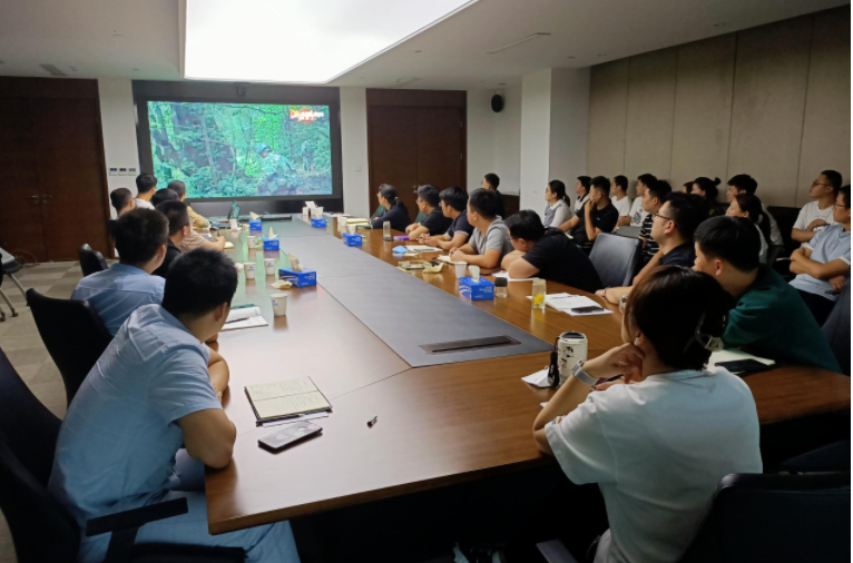 香港正版精准资料公开