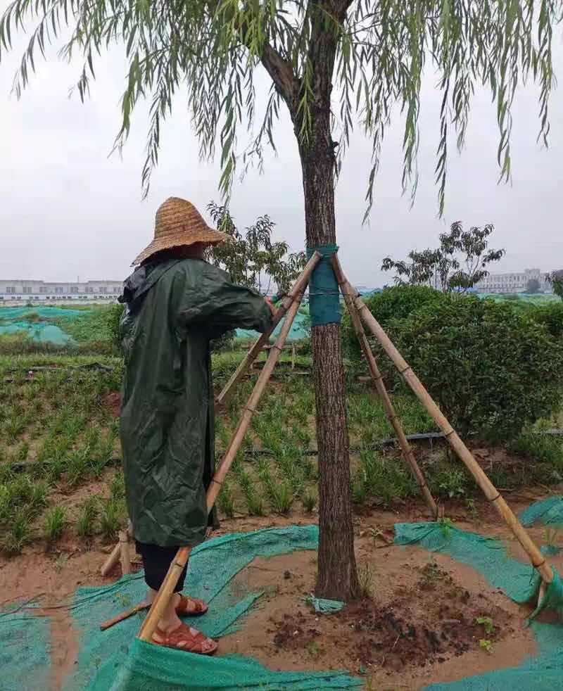 香港正版精准资料公开