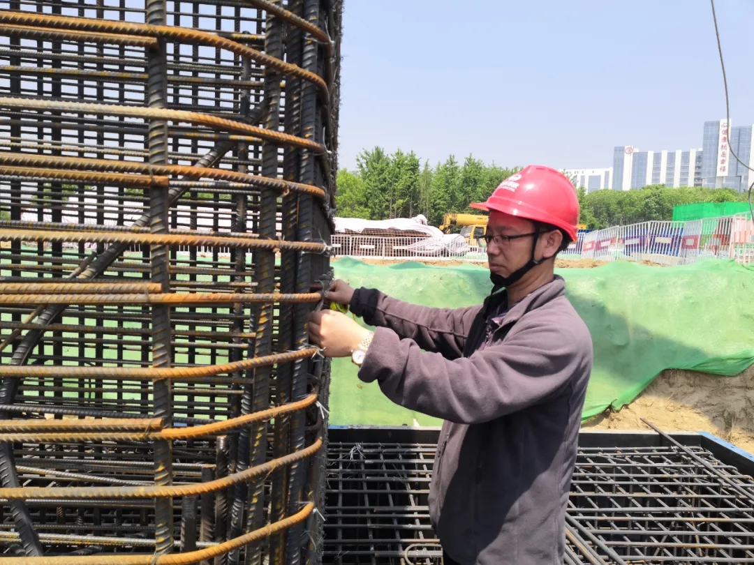 香港正版精准资料公开